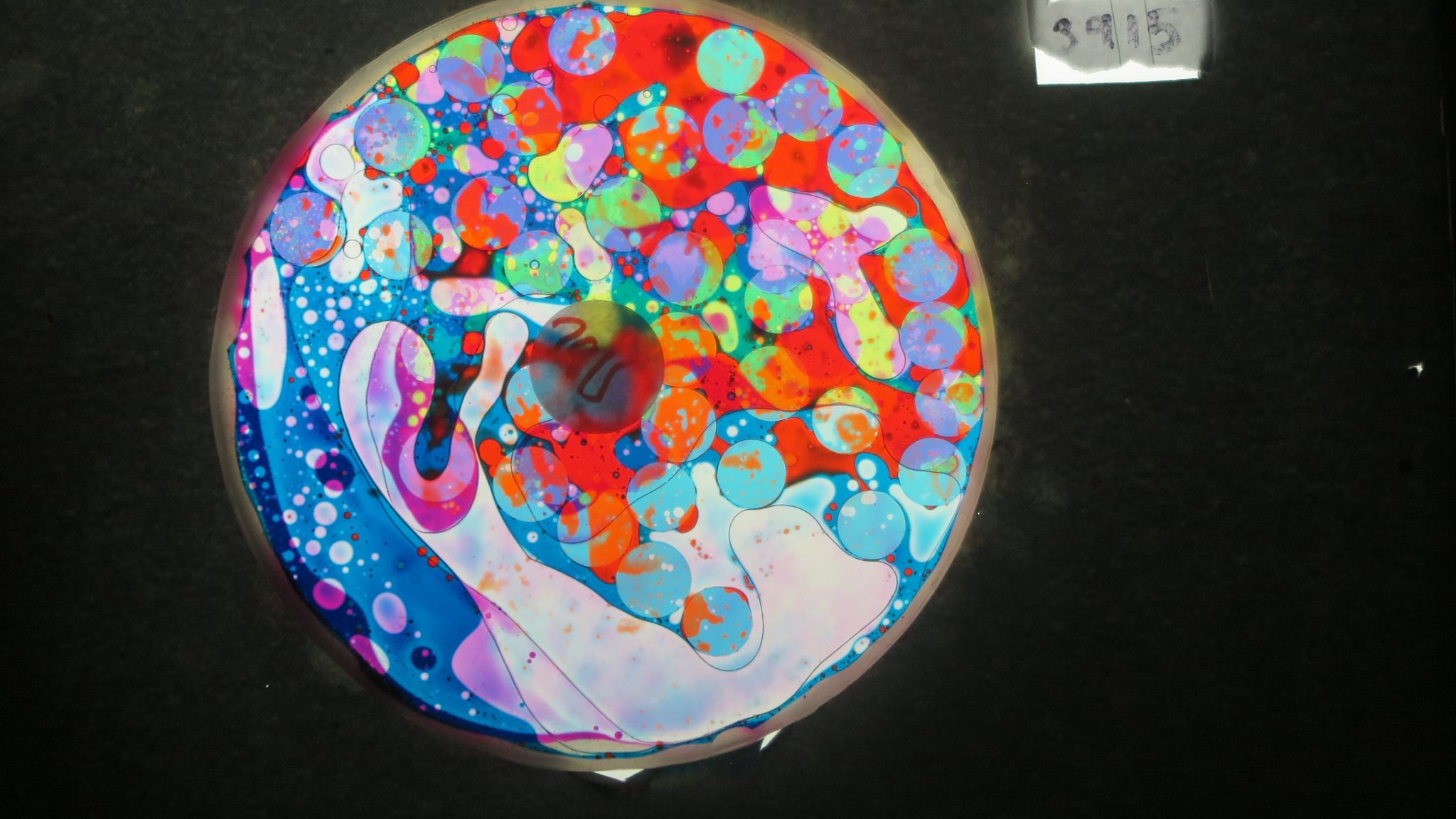 BV3915 bubble vision oil wheel